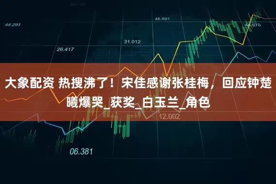 大象配资 热搜沸了！宋佳感谢张桂梅，回应钟楚曦爆哭_获奖_白玉兰_角色