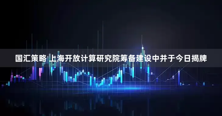 国汇策略 上海开放计算研究院筹备建设中并于今日揭牌