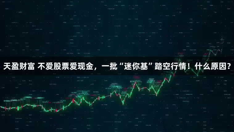 天盈财富 不爱股票爱现金，一批“迷你基”踏空行情！什么原因？